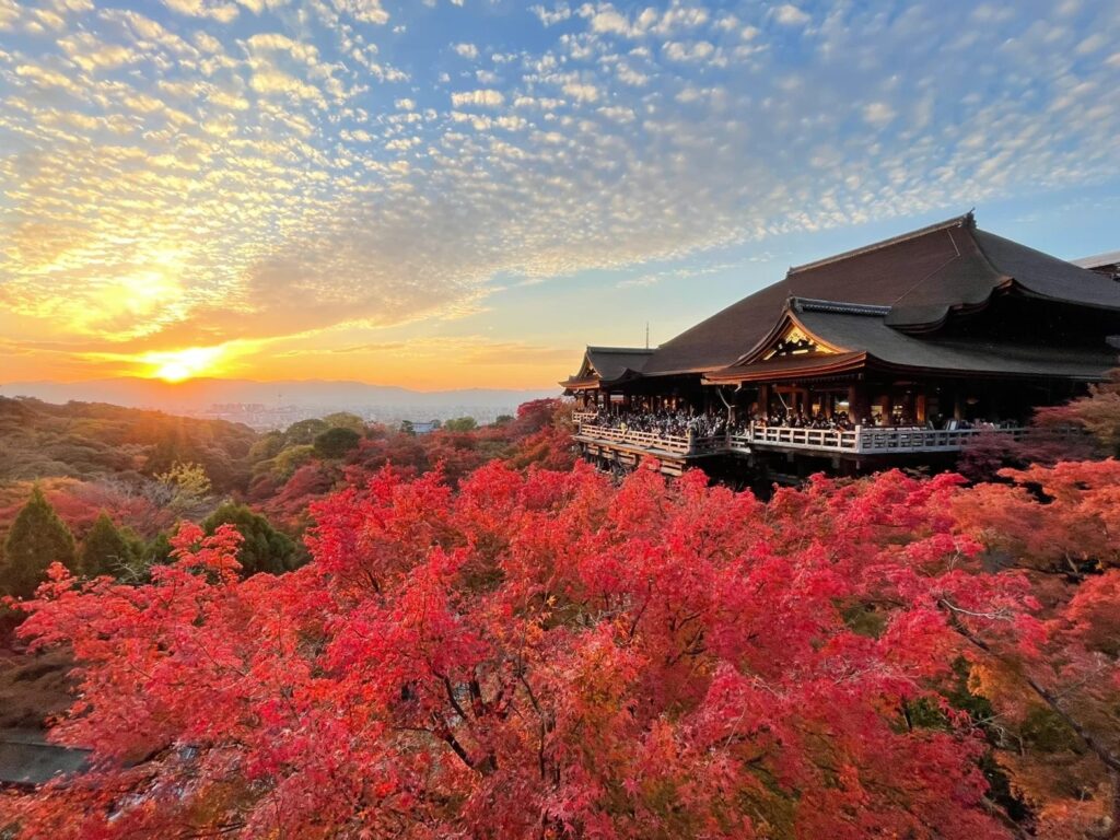 注册日本公司有哪些公司类型？