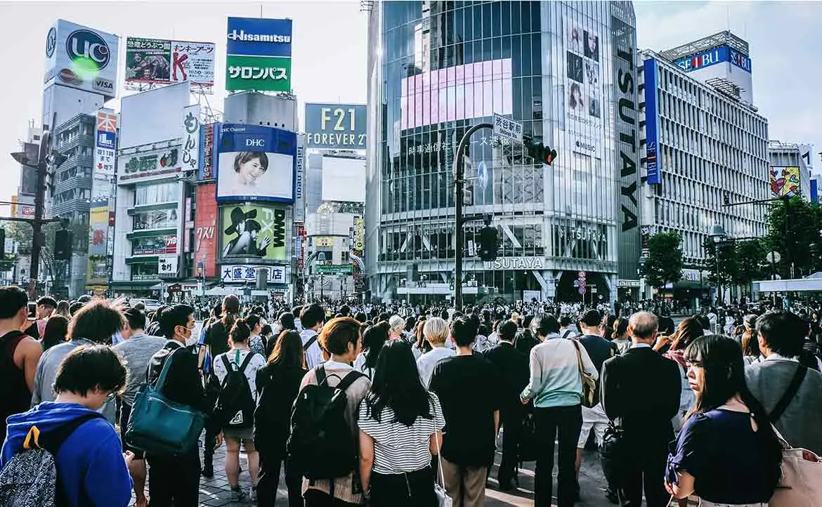 TikTok将布局日本电商，中国卖家如何抓住投资机遇及注册日本公司？