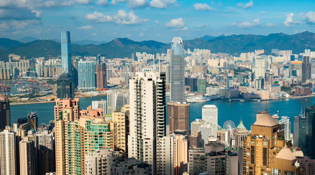2025年香港开公司【避坑指南】：从注册到合规的全流程风险防范