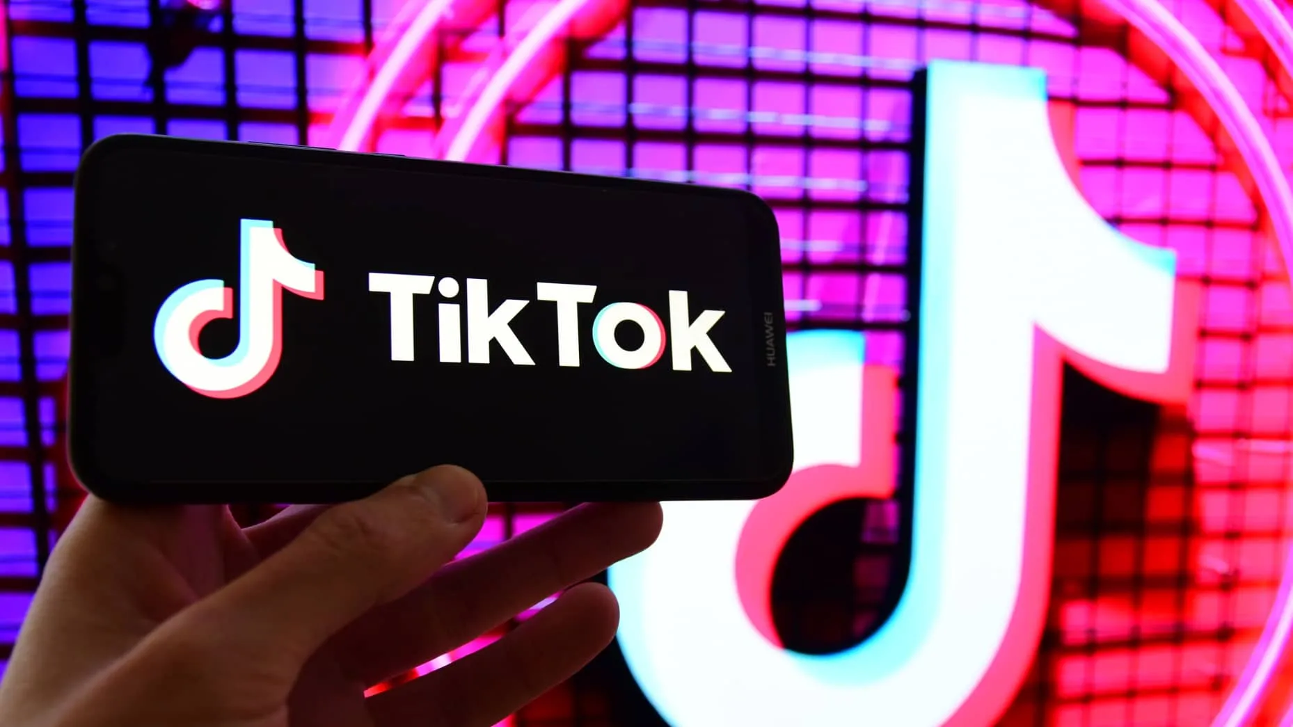 7天狂卖800万！TikTok爆款宠物浮毛刷引爆海外铲屎官抢购潮！