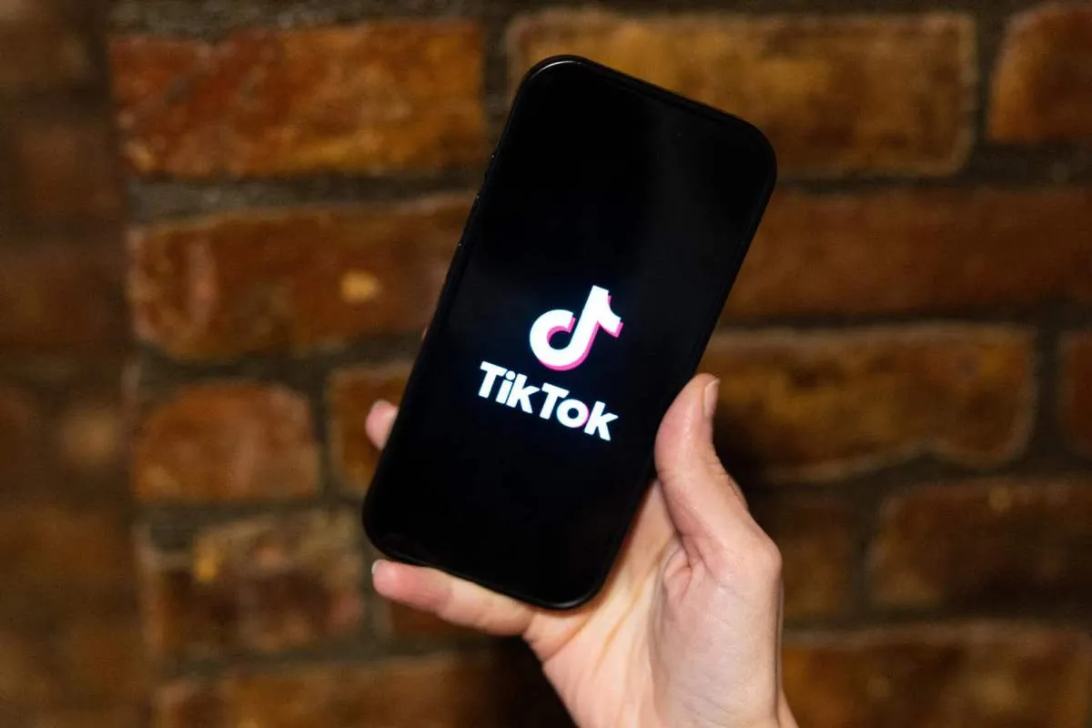 7天狂卖800万！TikTok爆款宠物浮毛刷引爆海外铲屎官抢购潮！