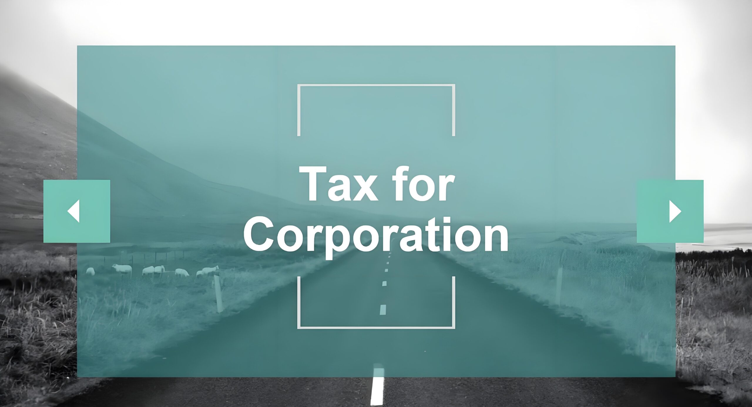 中国跨境企业如何用C-Corp控股LLC合法节税？完整版策略
