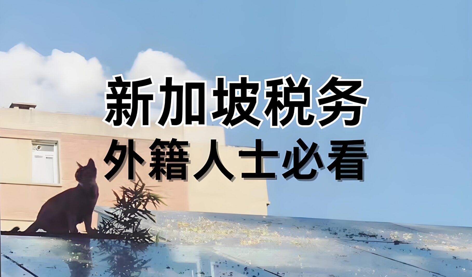 中国跨境卖家为何纷纷转向新加坡税务身份？实现避税与资产自由双赢