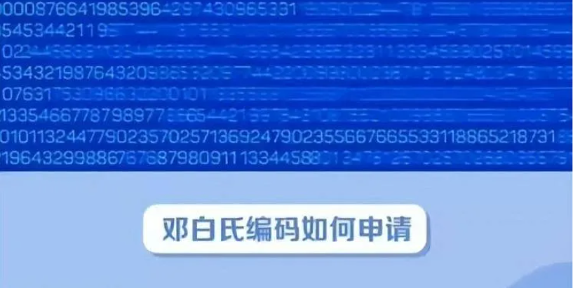 搞懂邓白氏编码：用途、申请步骤及常见问题一次讲透！