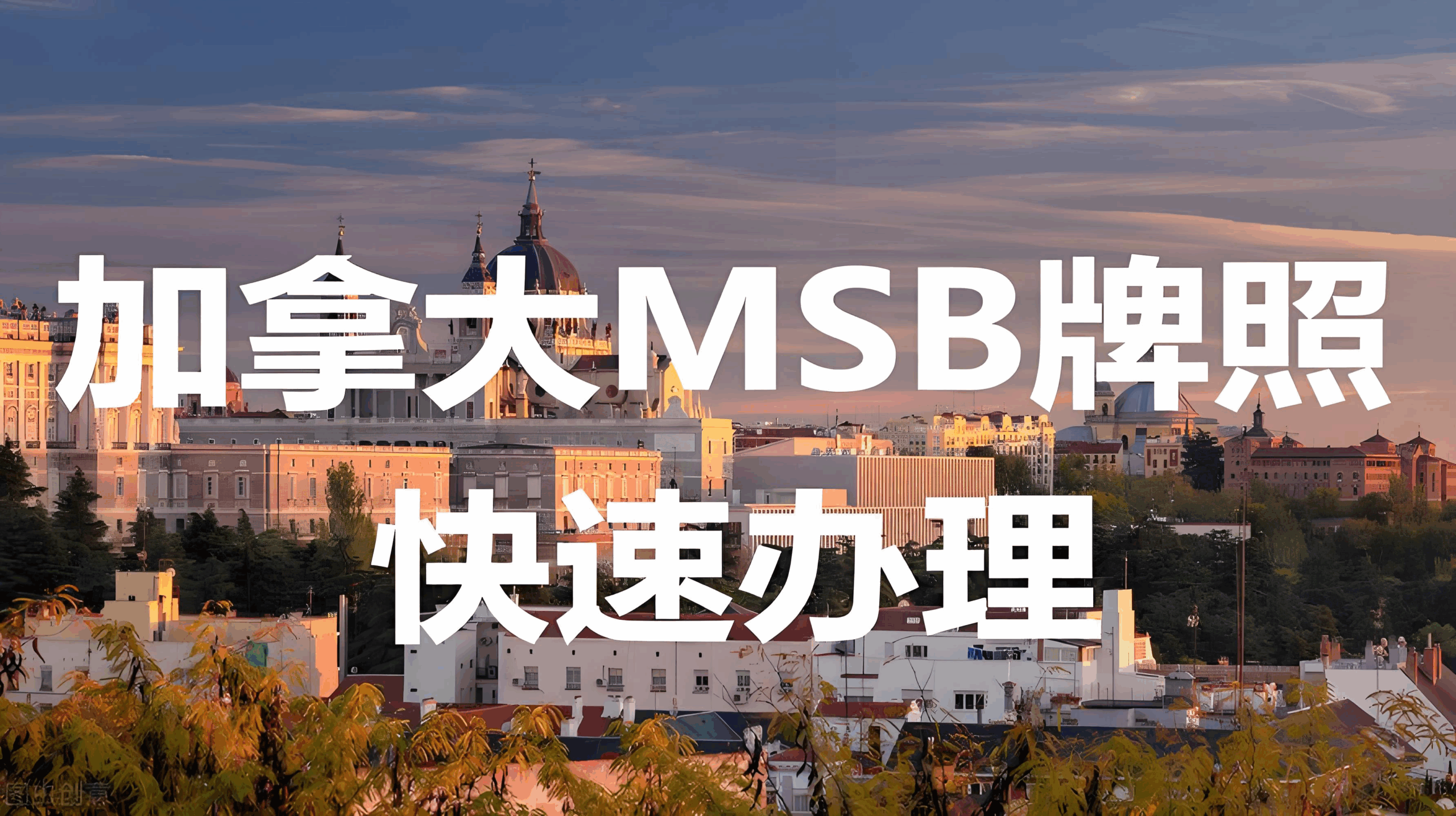 加拿大MSB牌照2025年新规：跨境电商、加密交易合规必备指南