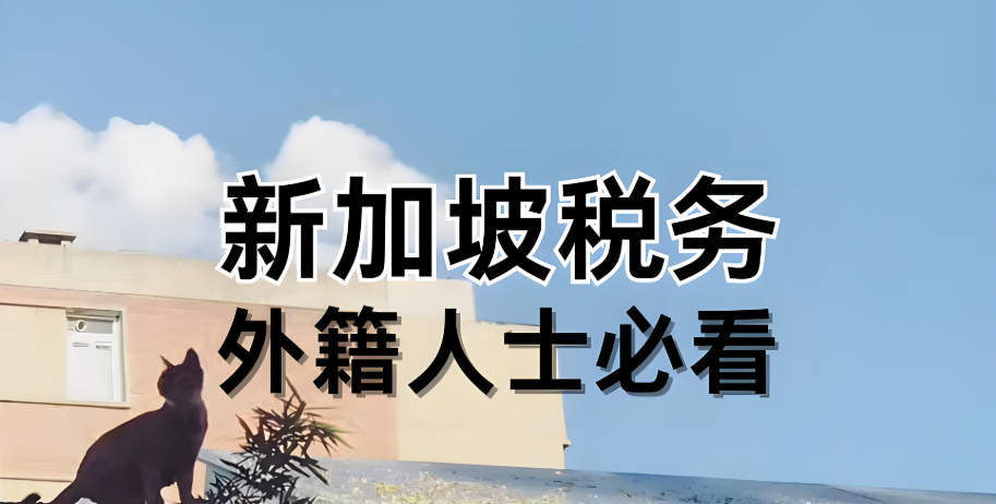 企业出海：新加坡税务制度、税务优惠政策与出海架构（含ODI备案）详细指南