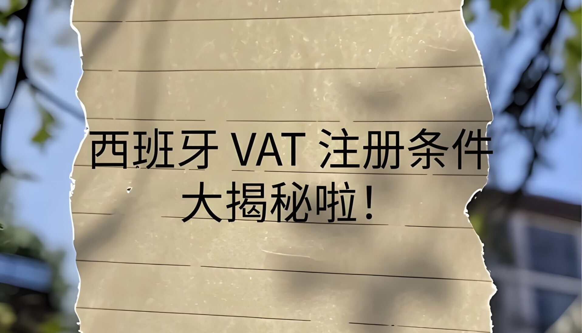 【全面解析】2025西班牙欧盟VAT税号申请政策与流程，跨境电商卖家必读！