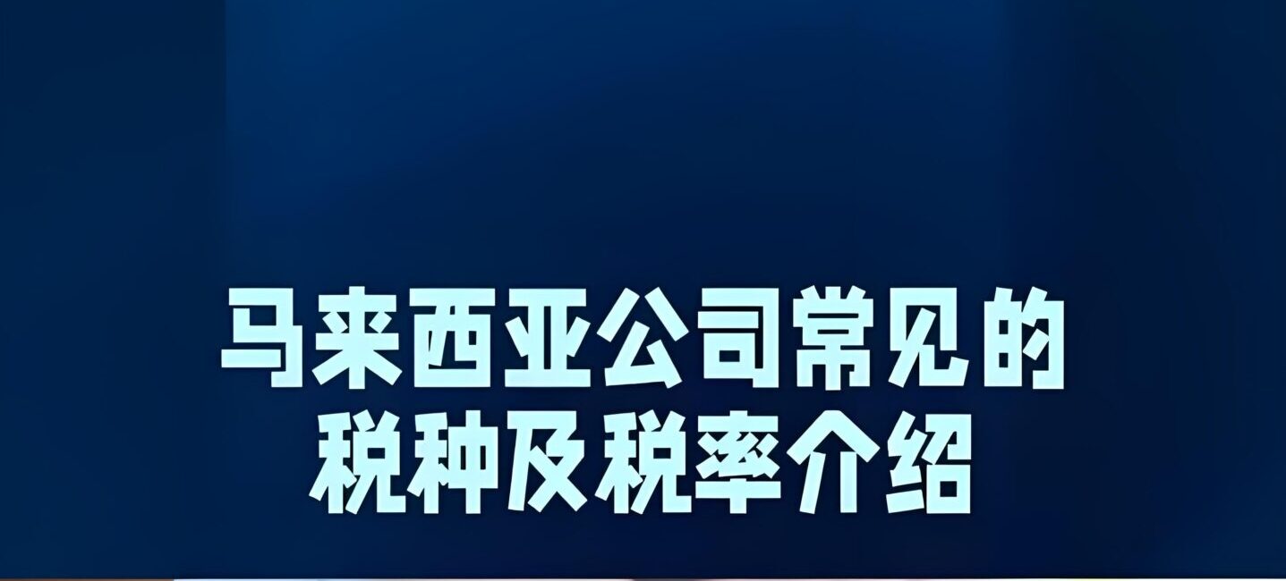 中资企业必读：马来西亚NIIF+SST新政解读，释放建厂投资红利！