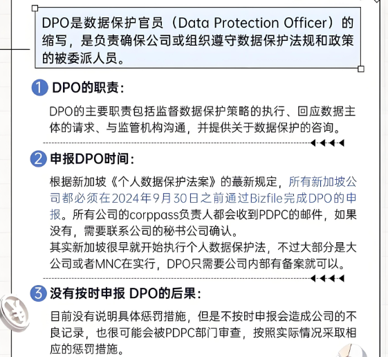 为什么中国企业出海新加坡，必须重视DPO数据保护官？