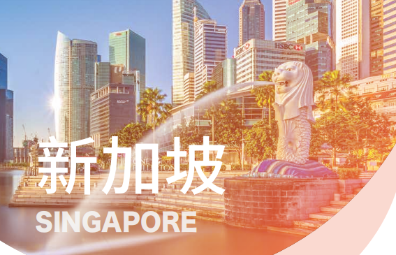 人在国内，轻松注册新加坡公司+远程开户+绑定Stripe/Wise收款教程来了！