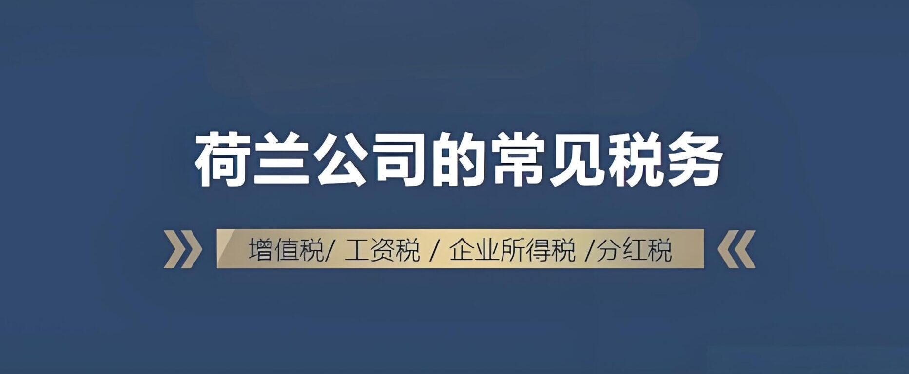 跨境卖家警惕！荷兰税局新系统致税务误判，申诉成功全额撤销罚款