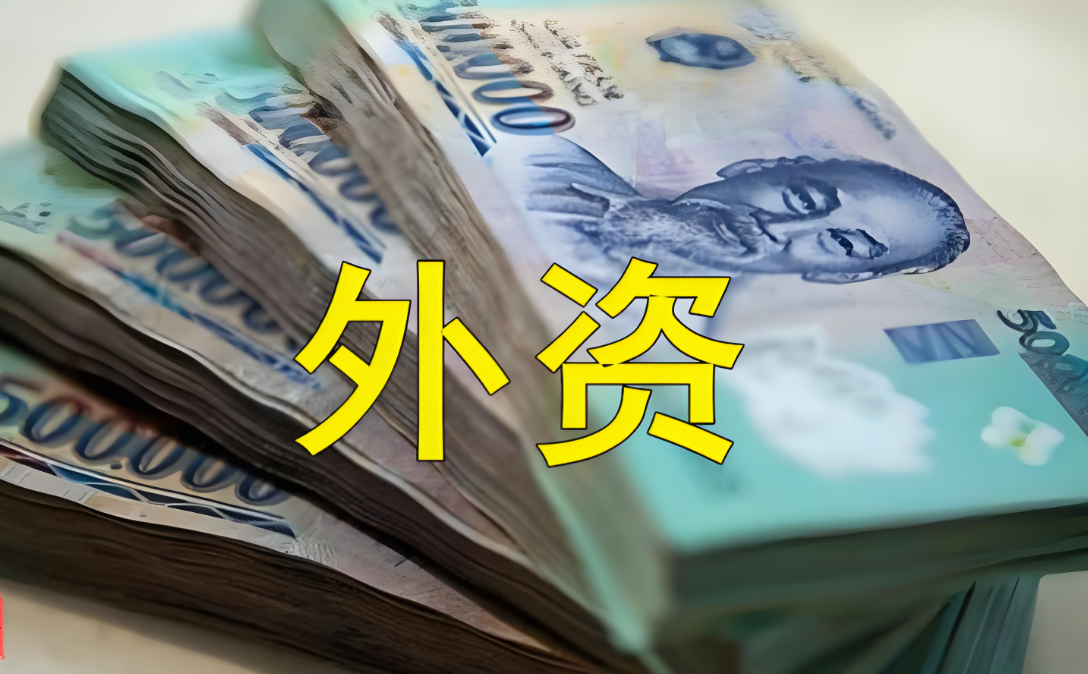 越南外资准入限制全指南：中国卖家如何合规进入？行业清单+股比红线+破局策略