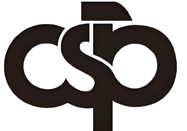2025新加坡CSP法规正式落地：中国卖家如何合规出海与布局新加坡？