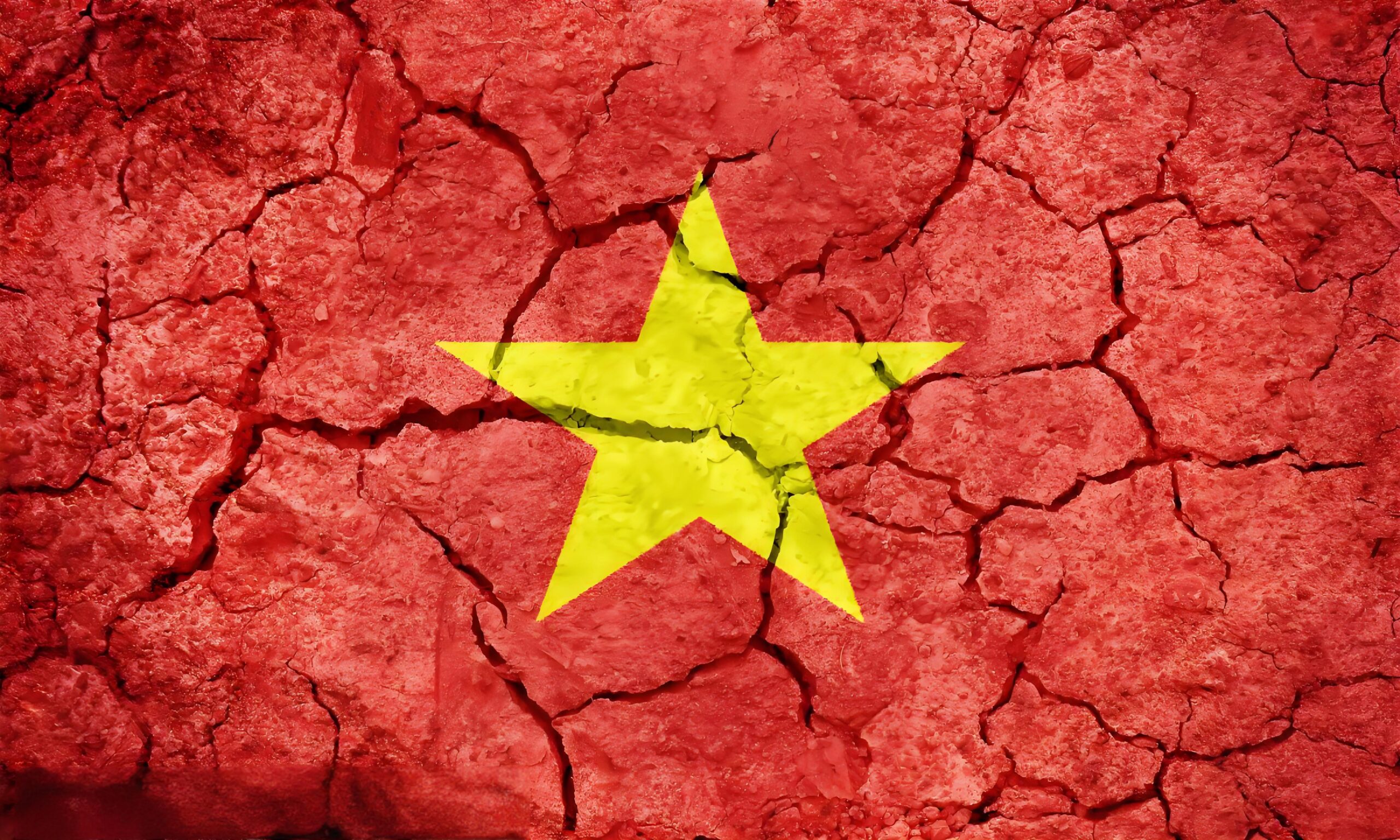 越南语翻译：解锁准确与本地化兼顾的专业密码