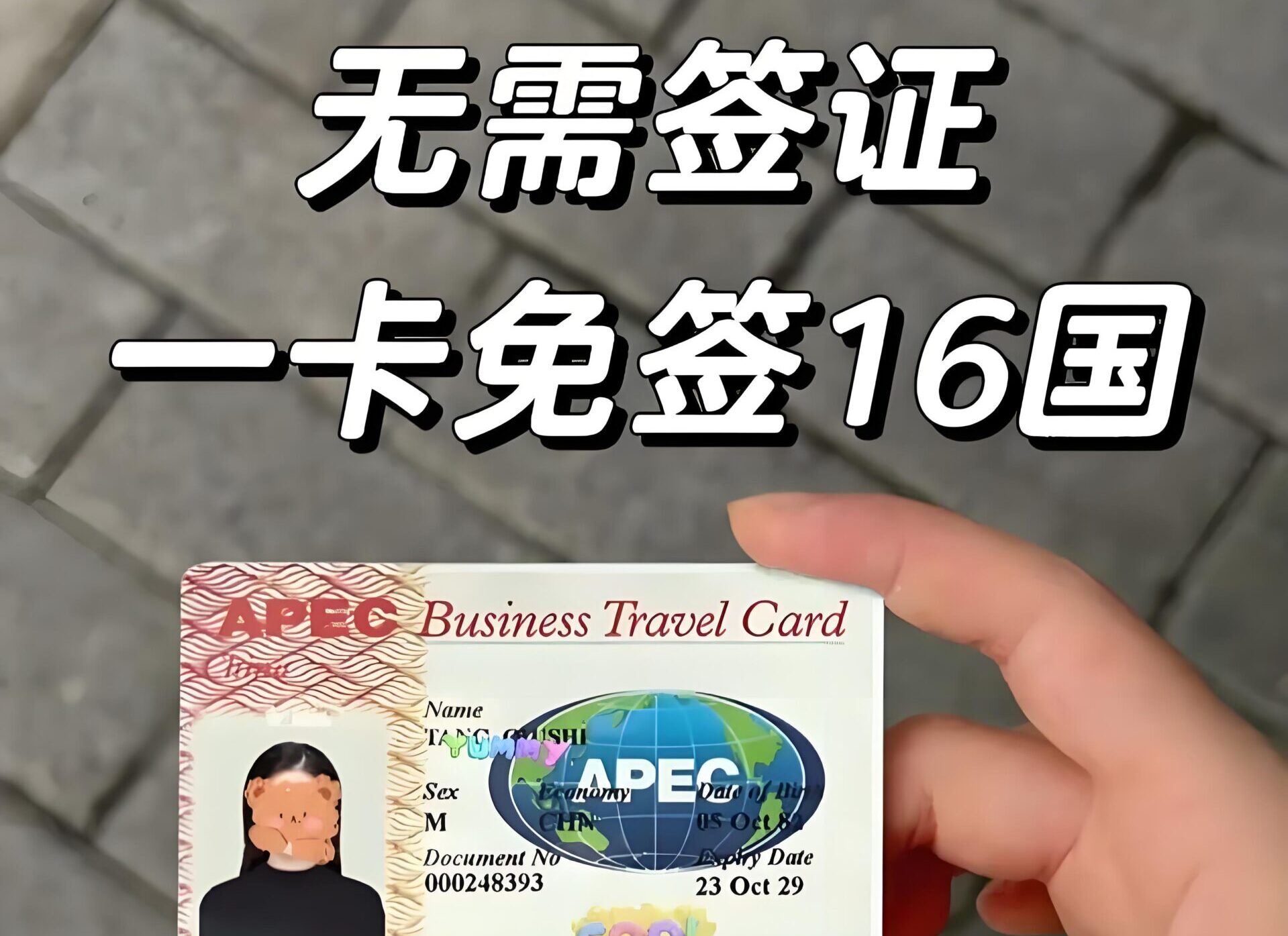 一文读懂！2025年APEC商务旅行卡申请：16国免签、流程优化、费用标准更新