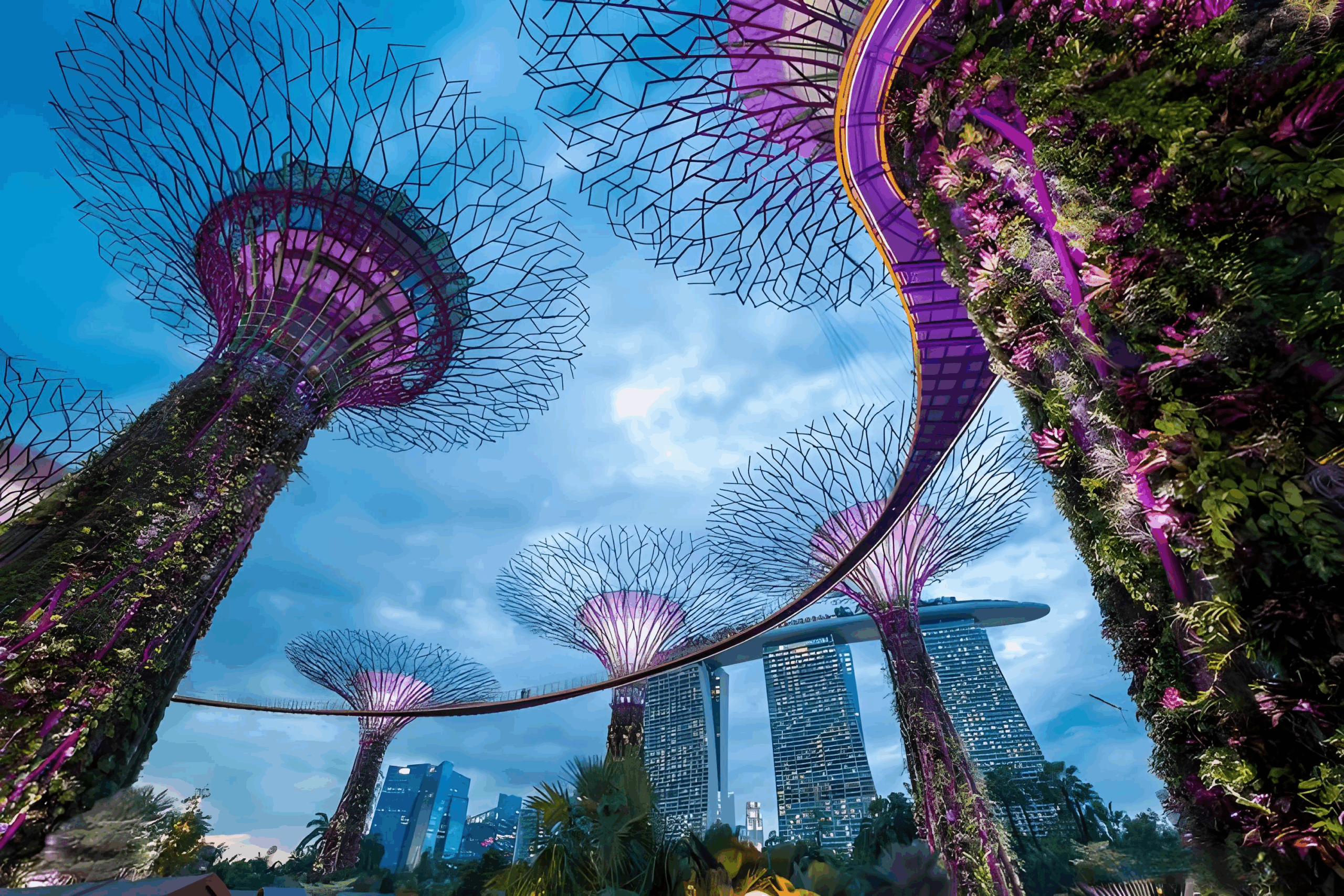 避坑指南 | 新加坡公司不要了怎么办？全面注销流程解析与风险提示