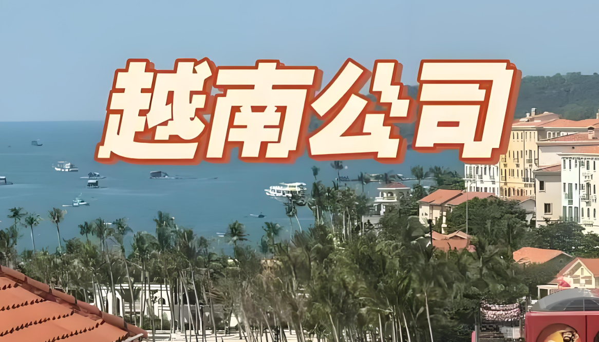 国际税收协定：中国&越南全解析｜跨境企业节税与合规指南