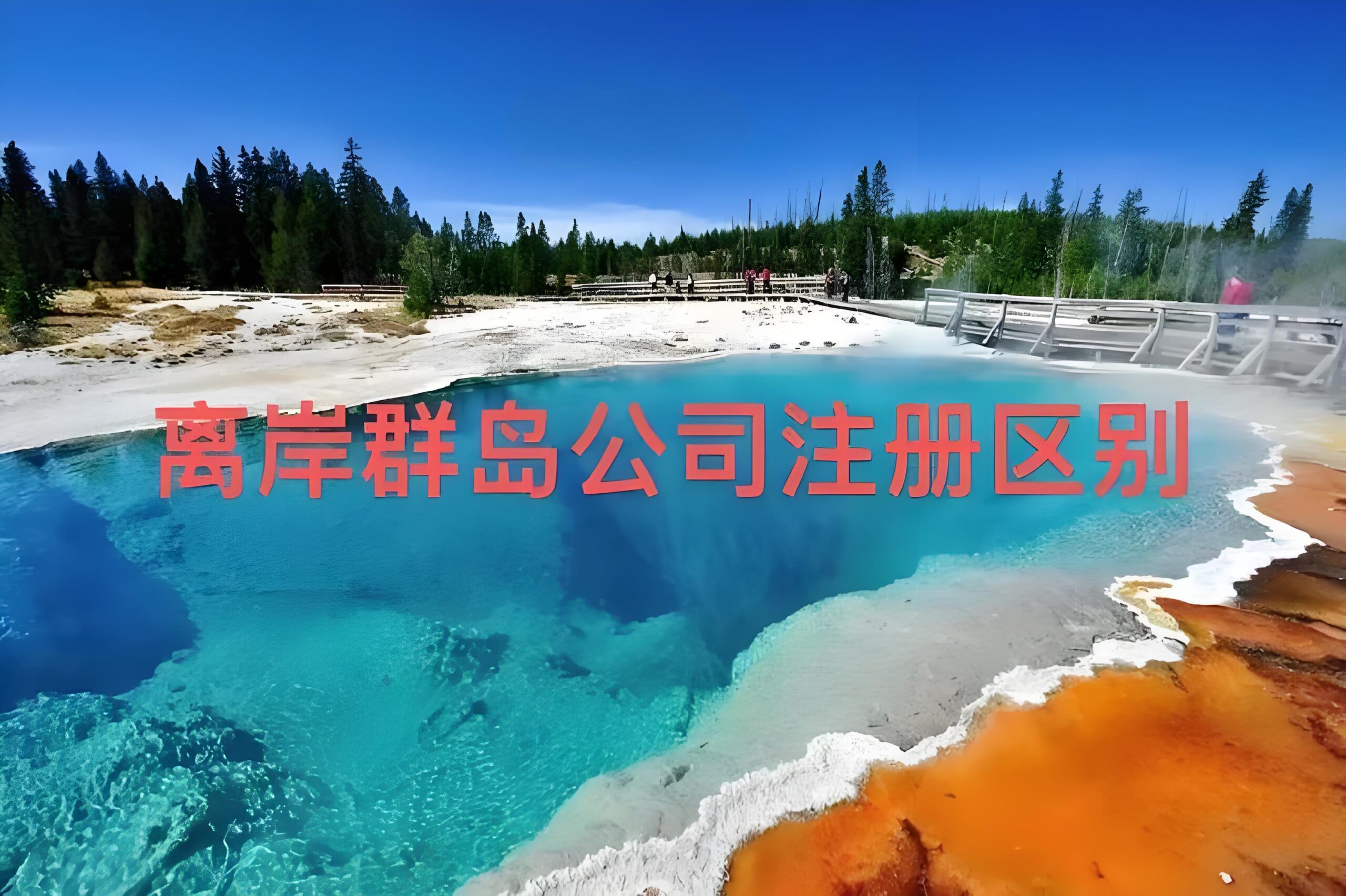 离岸注册怎么选？2025年BVI与塞舌尔最新政策与应用场景详解
