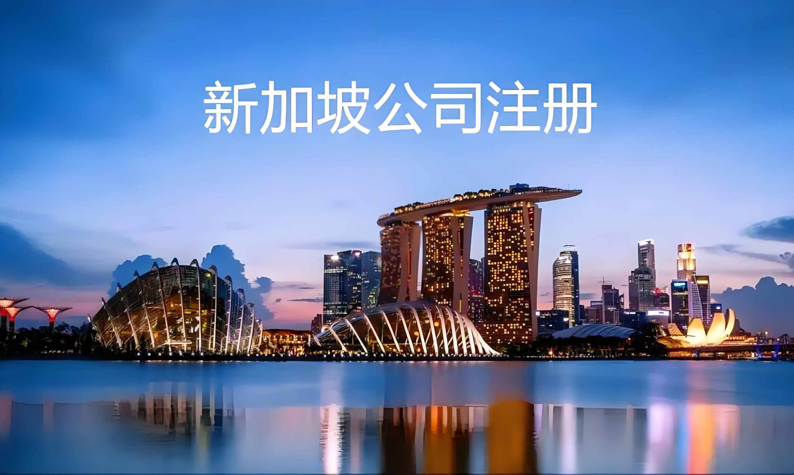 新加坡公司注册有哪些类型？6种公司架构、适用场景及优缺点详解