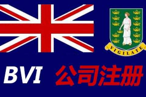 2025年BVI公司股东结构查询全指南：新规解读、合规要点与实操方法