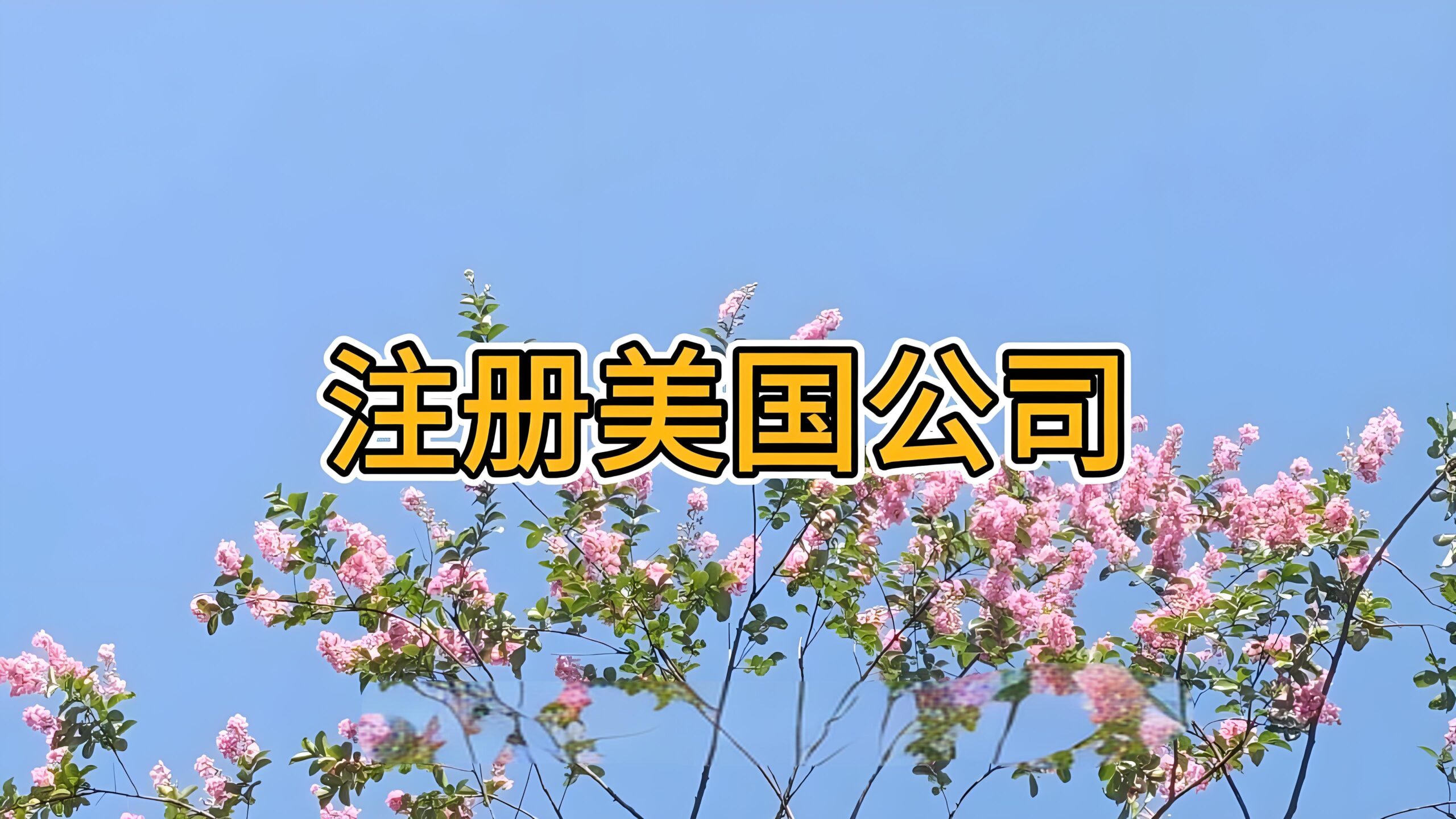 美国公司注册选州指南：按业务类型选择最佳注册地