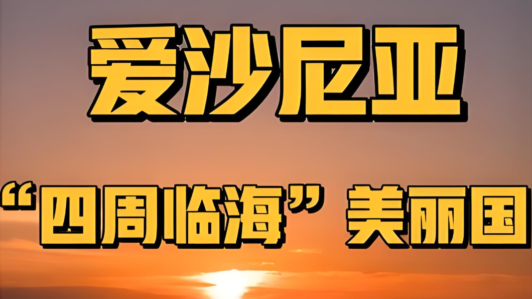 2025年爱沙尼亚公司注册全指南：欧盟市场准入、免税政策与远程注册流程