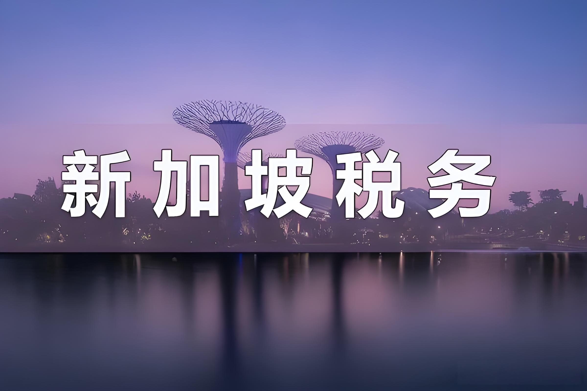 2025年新加坡公司报税时间、流程与合规指南 | 企业所得税、消费税、审计豁免详解