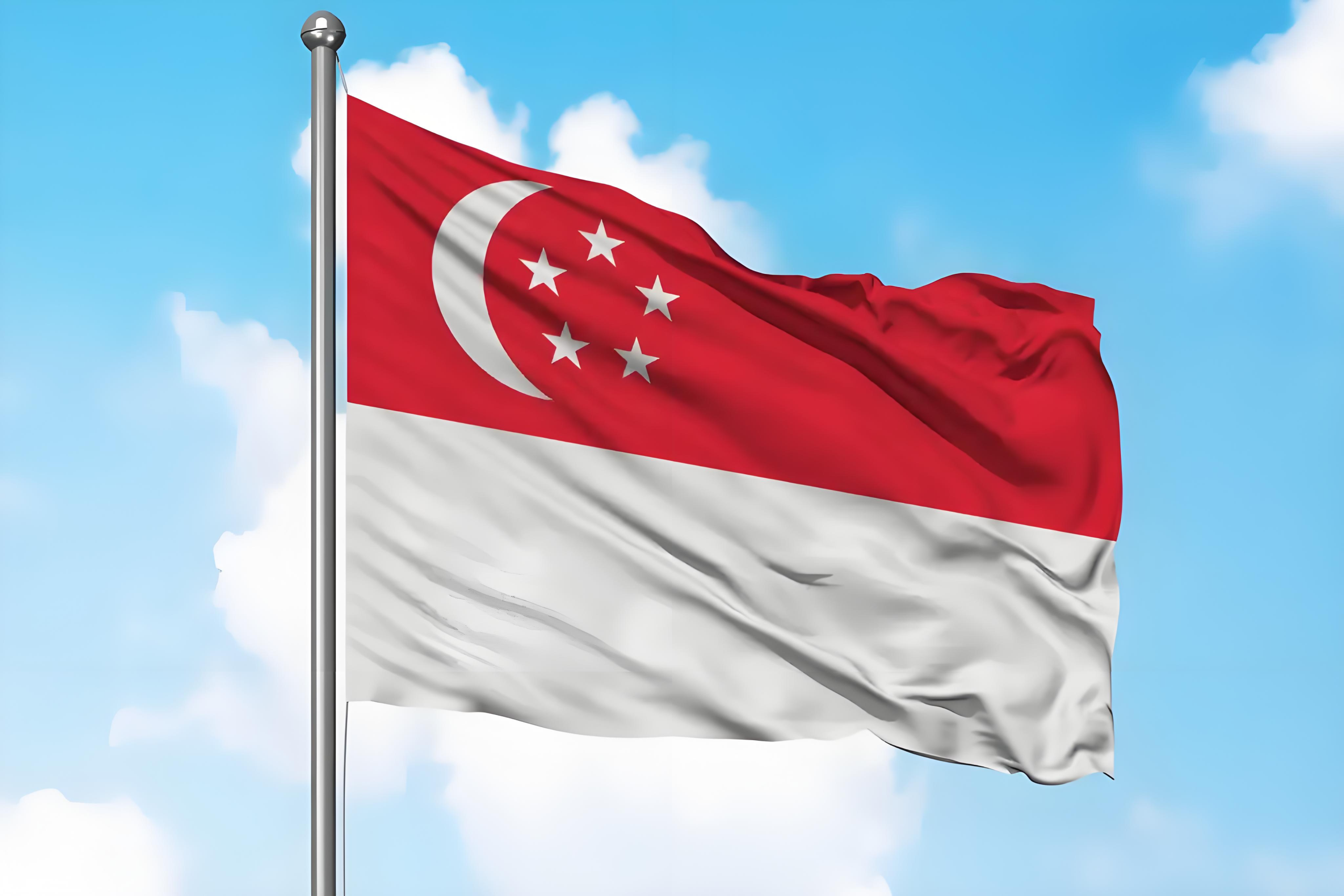 🇸🇬你的转口贸易利润，真的无需在新加坡交税吗？