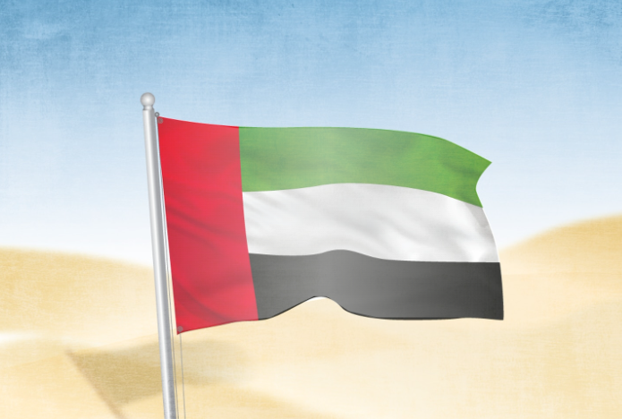 2025阿联酋电商市场指南：中国卖家掘金中东的机遇、风险与实战策略