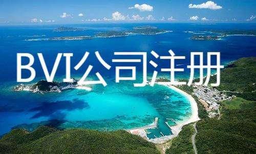 2025年BVI离岸公司注册全解析：中国卖家如何借势布局全球市场？