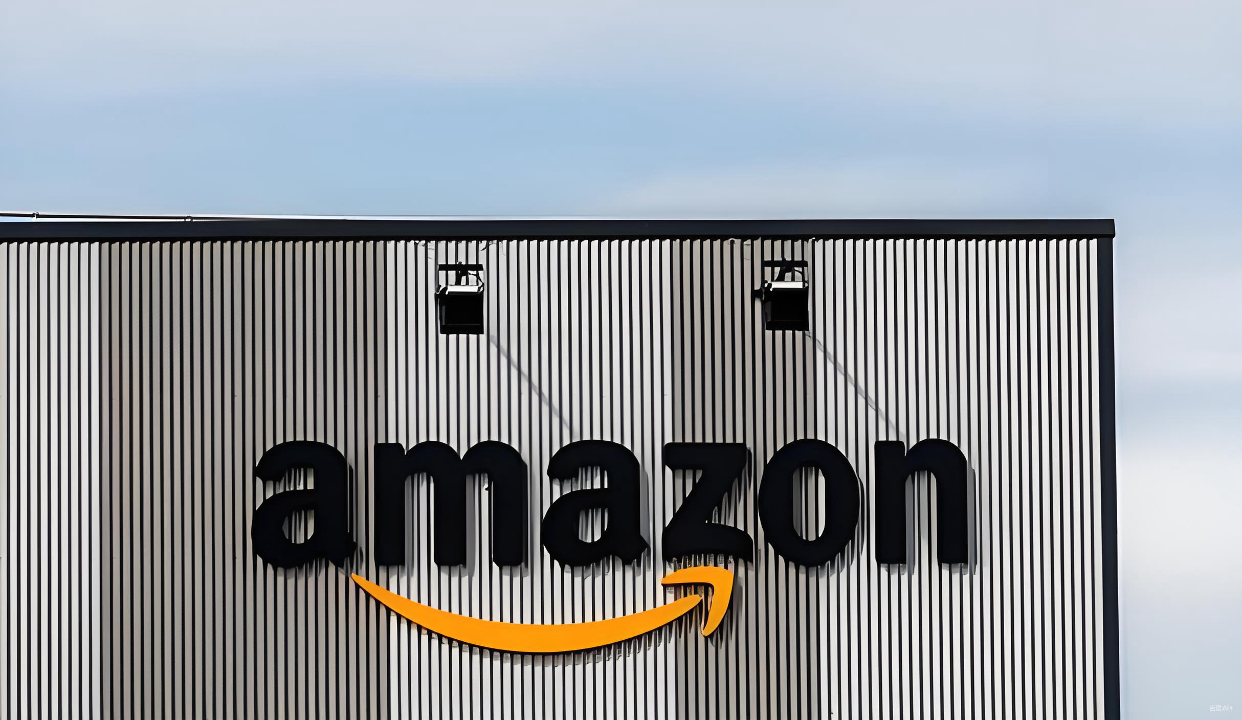 京东亚马逊海外官方旗舰店双十一，中国投资者机遇，政策红利，投资策略