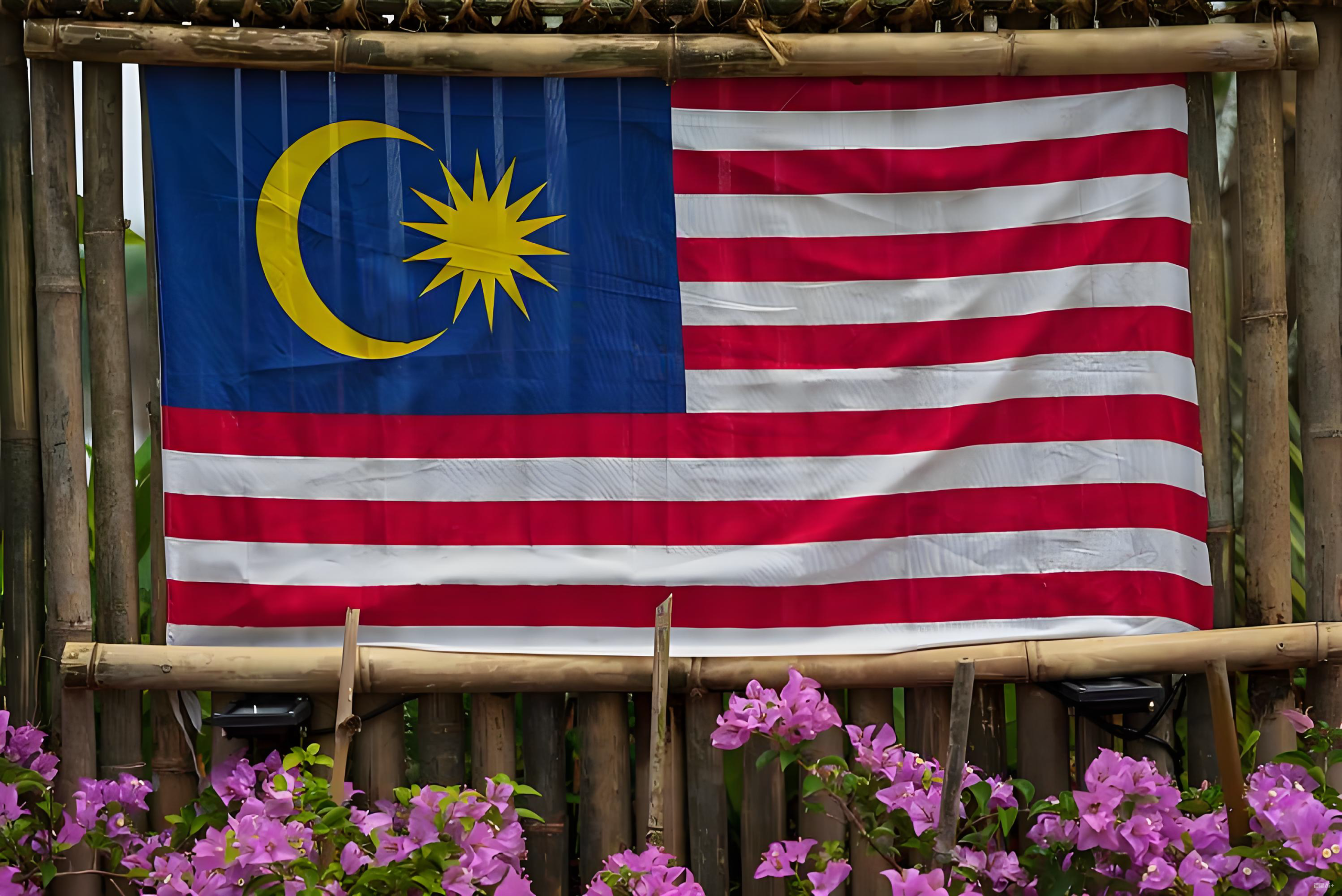 马来西亚税号背后逻辑解析