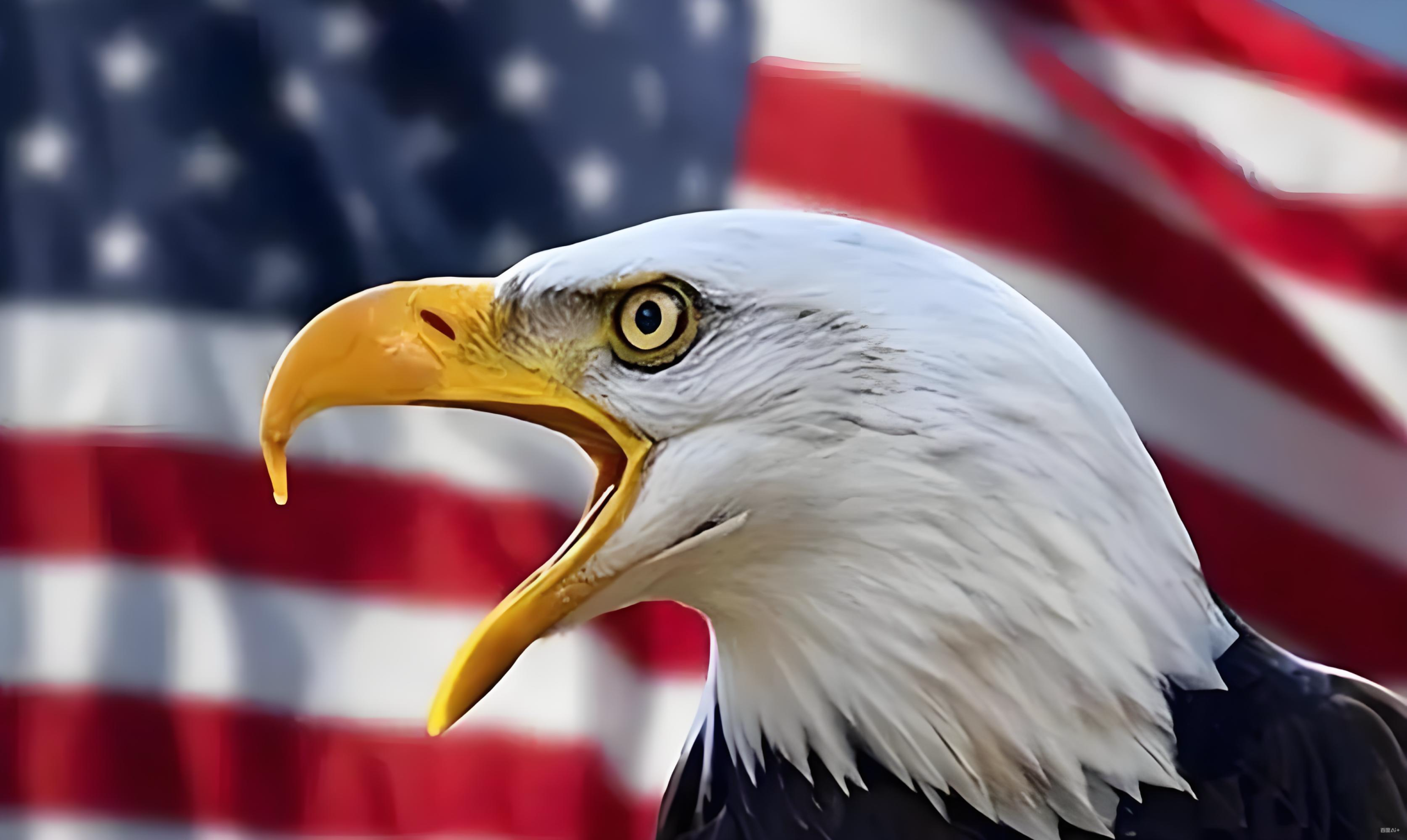 2025美国新税法解析：中企与高净值个人双线税务规划与机遇