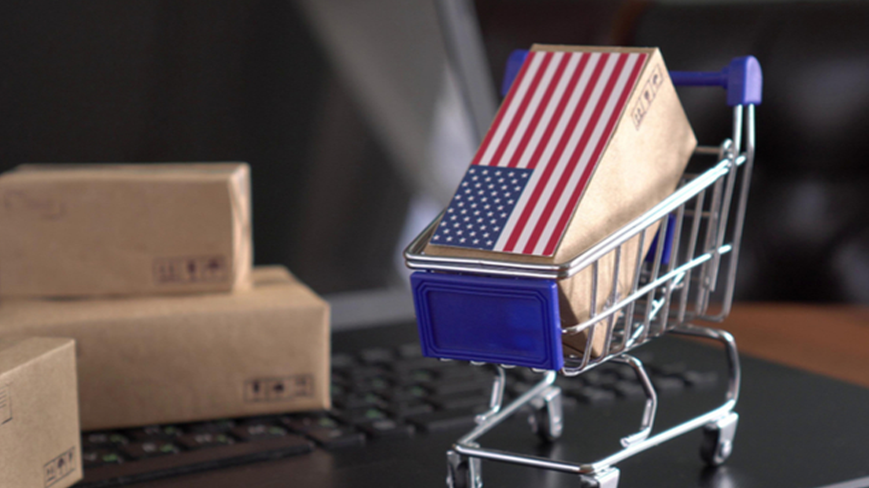 2025美国免税州公司注册指南：中国卖家如何选择最优州？