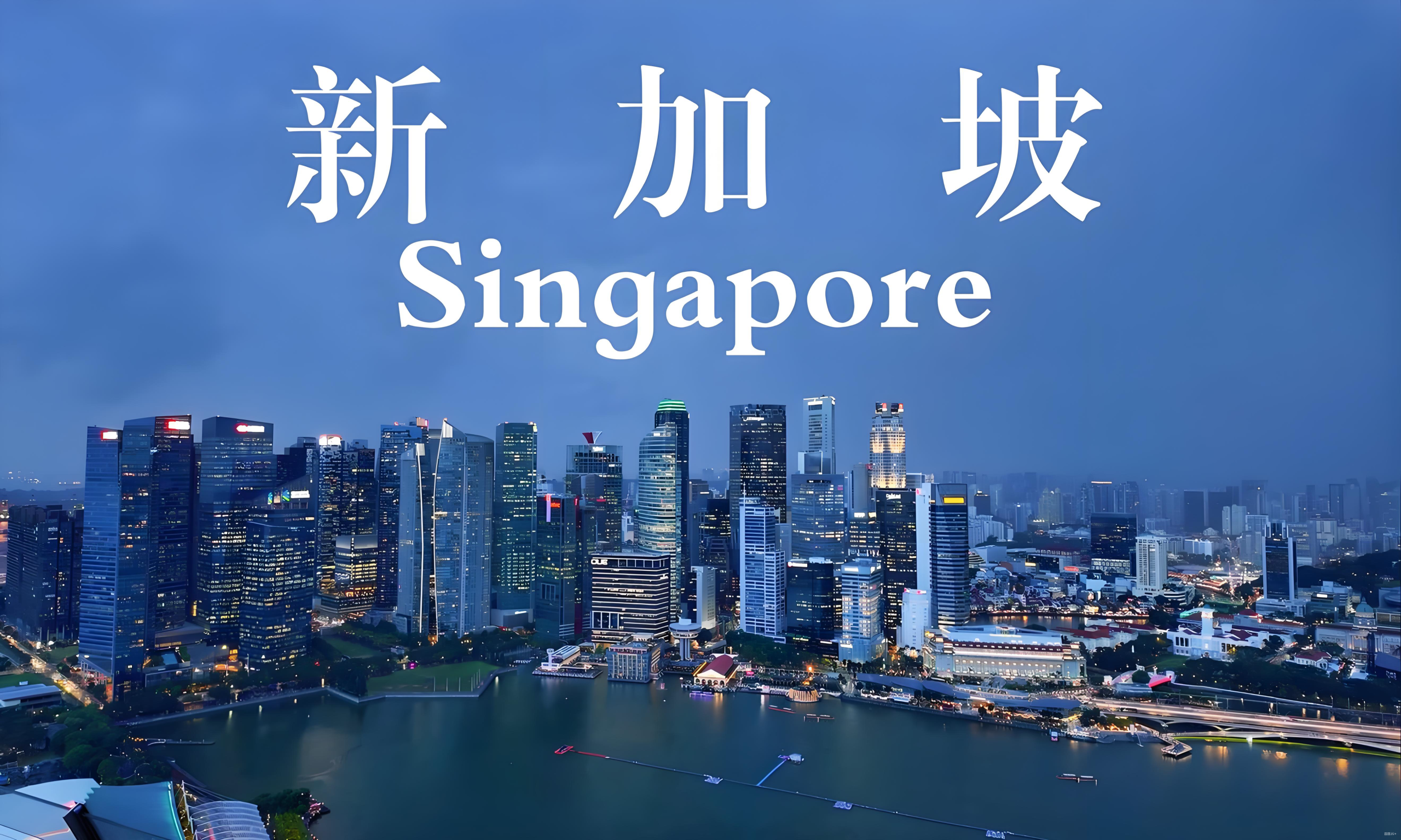 新加坡《进出口管制（修正）法案》生效，中国卖家合规指南与商机解析