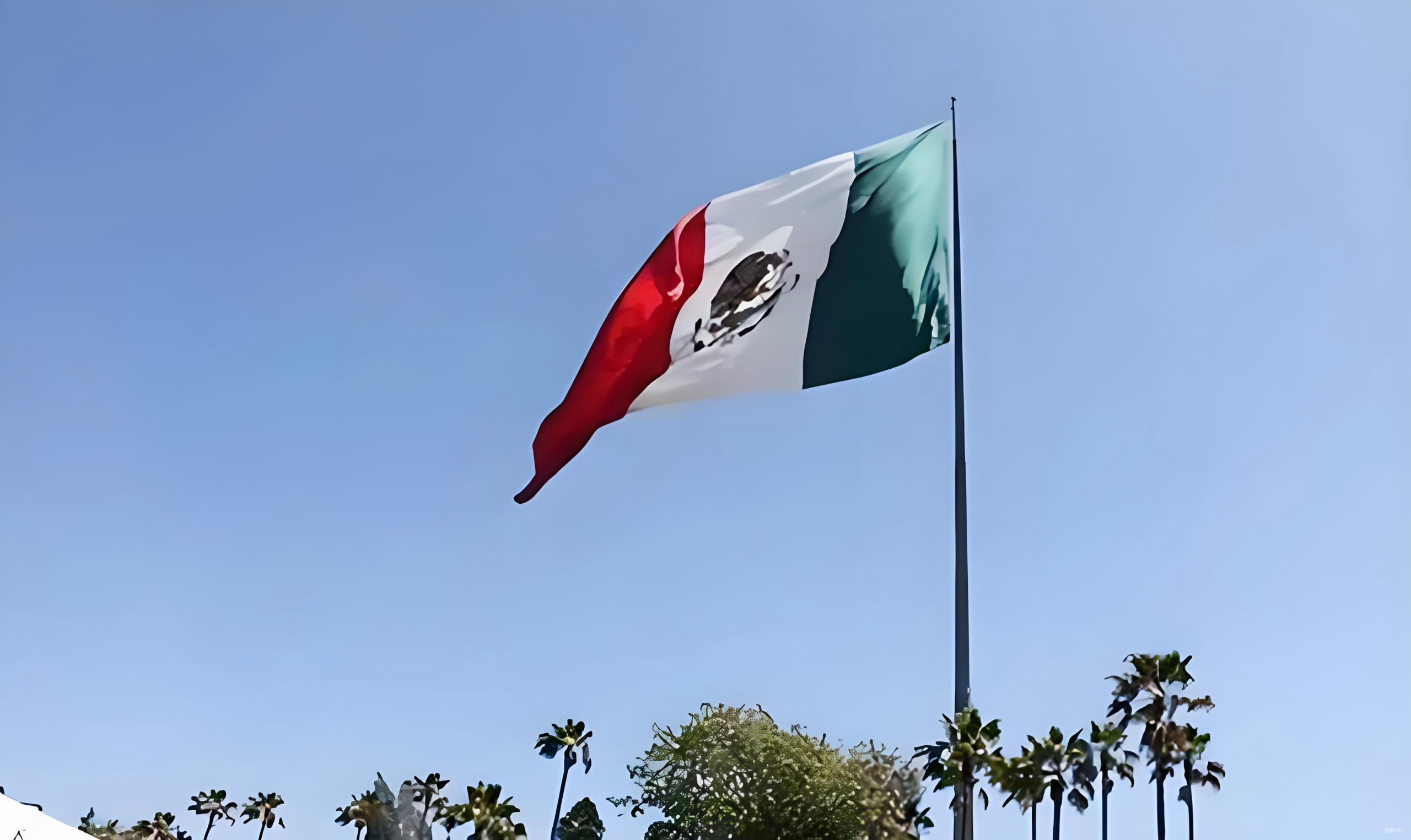 Amazon Now墨西哥快速配送服务指南，中国卖家机遇与政策解析