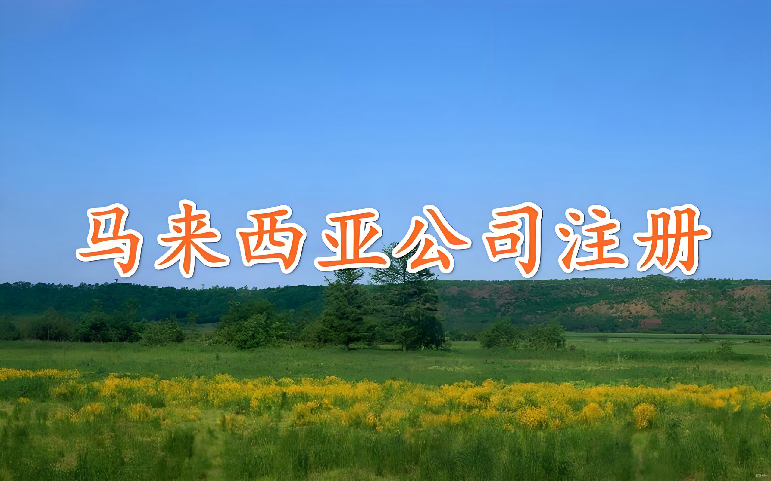 2025马来西亚电商市场指南：中国卖家掘金蓝海，机遇与策略全解析（lngStart助力公司注册）