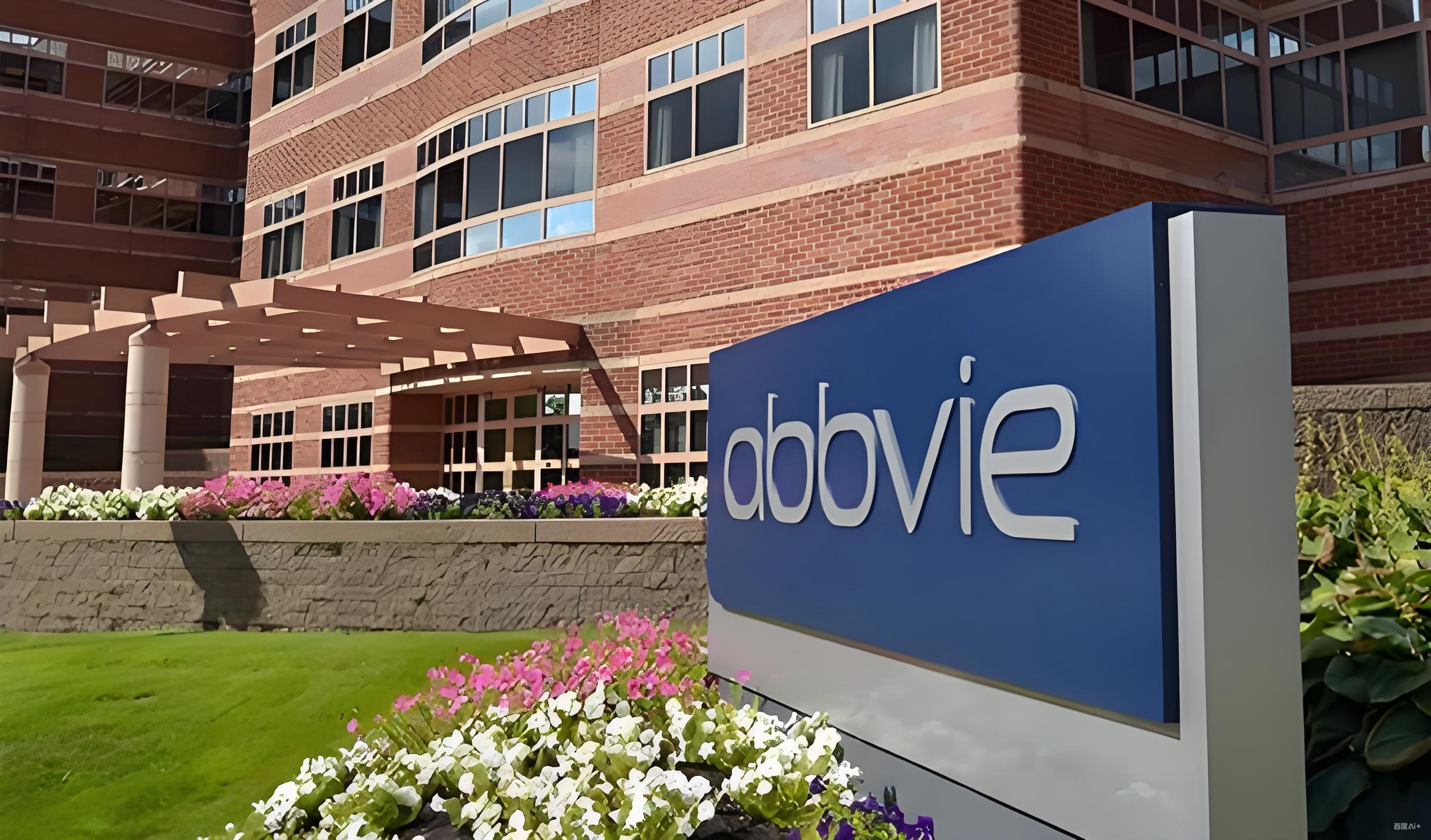 美国单人公司设立与运营指南：中国投资者的法律与税务策略