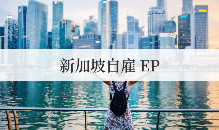 新加坡自雇EP全攻略：中国卖家如何借政策东风实现全球化布局？