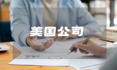 美国单人公司设立与运营全攻略：中国卖家的法律、税务与市场机遇