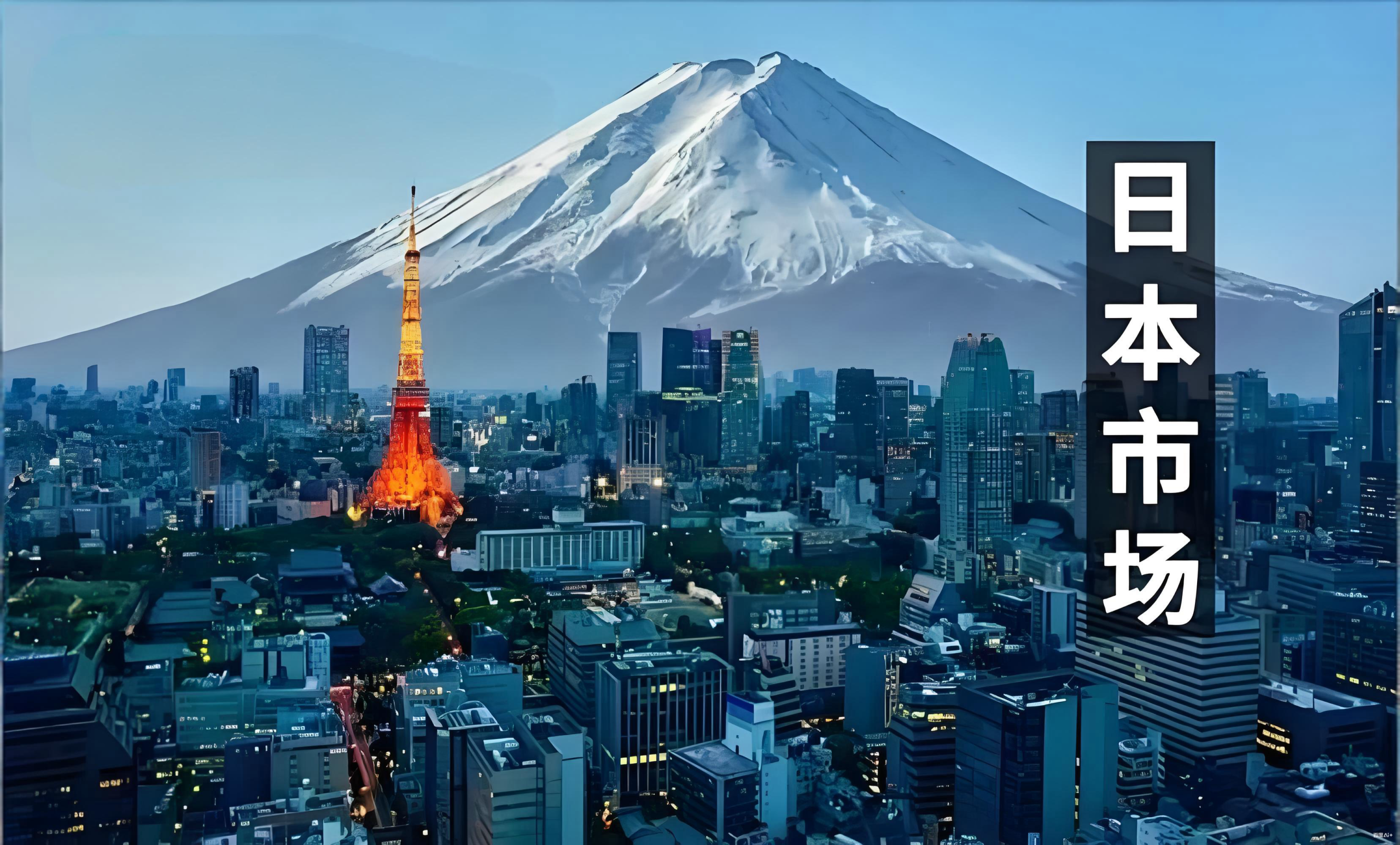 2025年日本METI新规，中国卖家合规指南，日本公司注册，跨境机遇