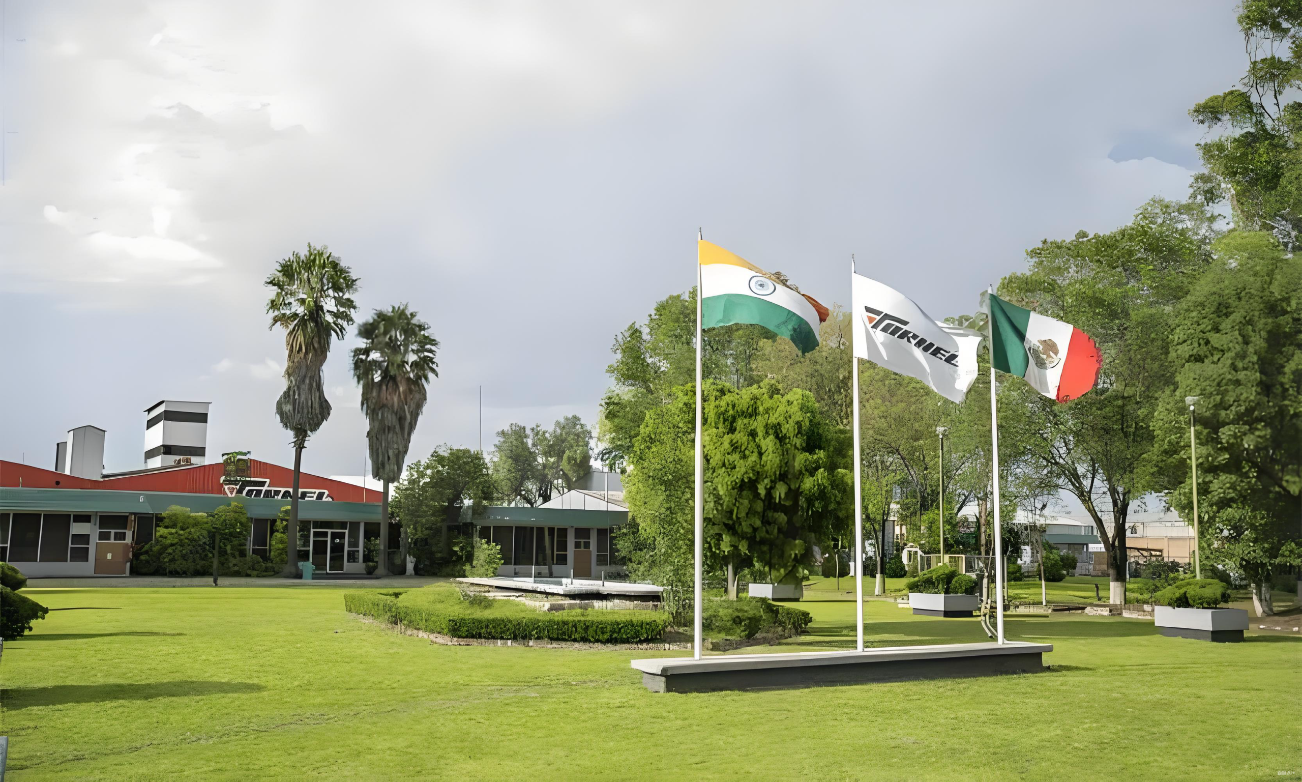 墨西哥对华金属膜塑料气球反倾销复审，中国卖家如何破局与机遇